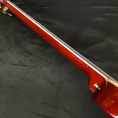 Katamalazoo KN6/Sunburst【Special Price】 image 9