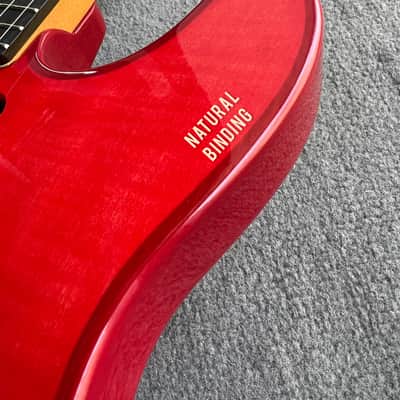 Electric guitar MihaDo GS T-Style image 5