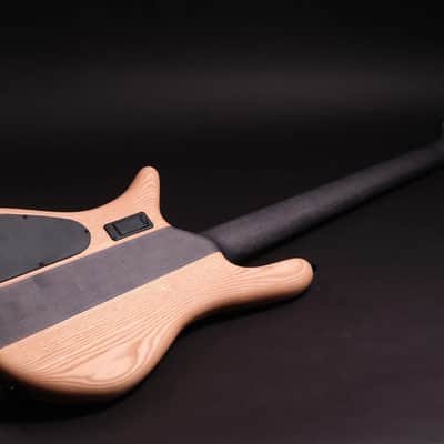 Spector CST limited Edition 2026 - Spalted Maple image 2