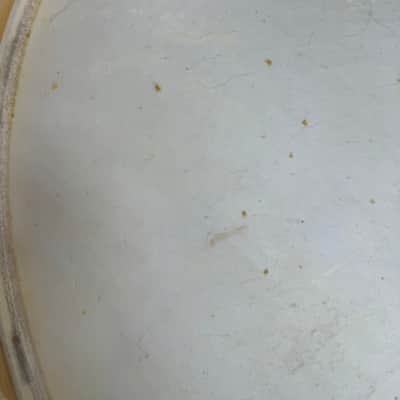 Slingerland Vintage Radio King 24” Genuine Calf Skin Bass Drum Head Lot #1 40s - Calf skin image 15