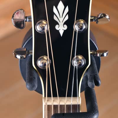 Ibanez AEG10II-NNB image 4
