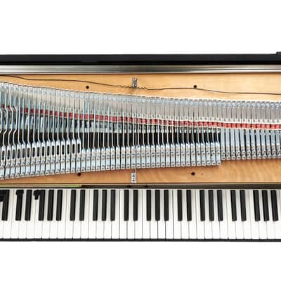 Fender Rhodes Suitcase 1970 Restored by Vintage Vibe image 7