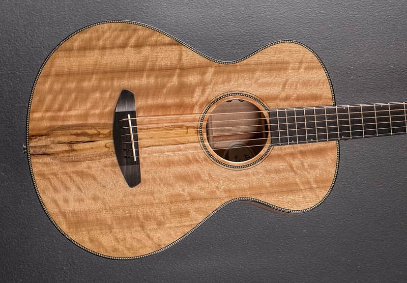 Breedlove Oregon Concertina E, Recent