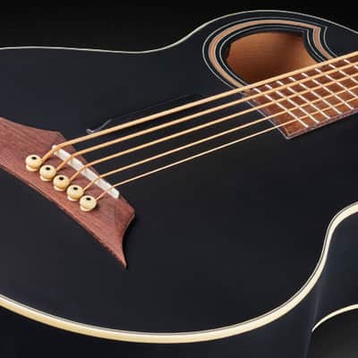 Warwick Alien Standard 5-String Acoustic Bass w/ Fishman Piezo System w/ Bag Solid Black Satin WAC1575 93PP SSA FR image 3