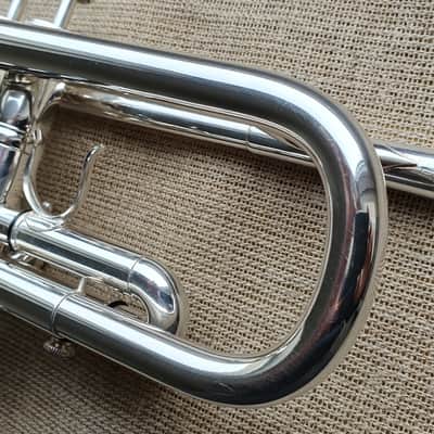 D. Calicchio DT-S1s/3M Dave TRIGG Model | Gamonbrass trumpet image 12