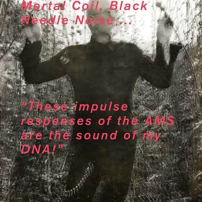 Inhalt Townhouse RMX-AMS RMX 16 Impulse Response Library image 3