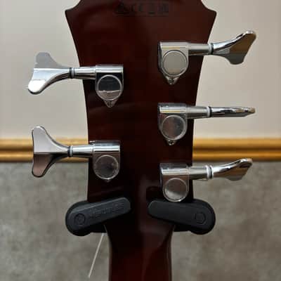 Ibanez AEB105ENT image 8