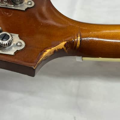 Immagine Harmony H-35 "Batwing" Acoustic Electric Mandolin with Case - 24