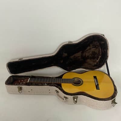 Parker Acoustic Guitar Hard Case in Brown image 6