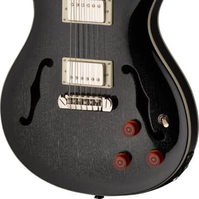 PRS SE Hollowbody Standard Piezo - Dog Hair Smokeburst image 2