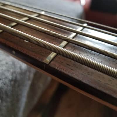 Washburn XB-500 5-string Bass image 3