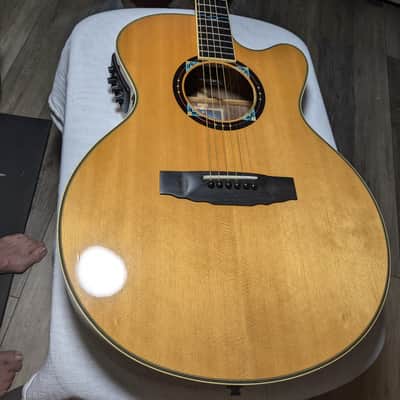 Yamaha Compass CPX-15 AD - Light image 11