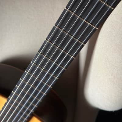 Paul Fischer Classical Fan Braced image 14