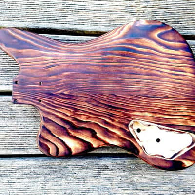 Telemaster body, "barncaster" image 2