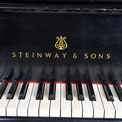 Steinway And Sons B Piano 1905 - Mahogany image 6