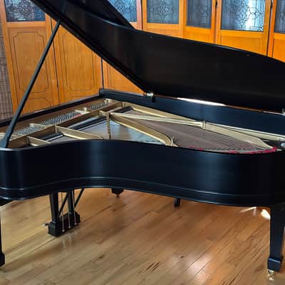 Steinway&Sons B 1896 - Ebony Satin image 10