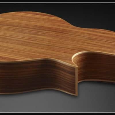 Warwick ALIEN 5 Natural Satin Acoustic Electric Bass, LEFT-HANDED, Fretted, Brand New, Free Shipping image 4