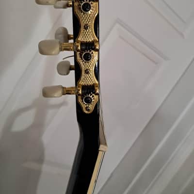 Esteban Limited Edition Spanish Rosas A/E Classical Guitar image 11