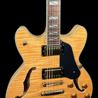 Washburn HB35 Hollowbody Electric Guitar in Natural image 6