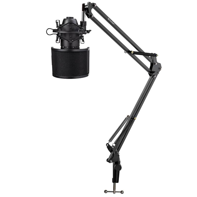 AKG P120 High-Performance General Purpose Recording Microphone Bundle with Knox Gear Desktop Boom Scissor Arm Stand, Shock Mount, & Pop Filter (4 Items) image 1