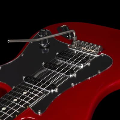 Lerxst Grace by Godin - Vega Trem image 4