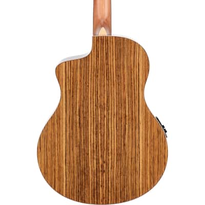 Washburn Bella Tono Suprema Acoustic-Electric Guitar image 7