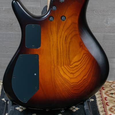 Roscoe Century Standard Plus 4J Fretless Bass Guitar Sunburst w/Case image 3