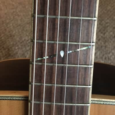 Alvarez Professional Series PD91S 2008 Natural image 6