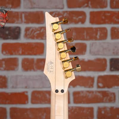 Ibanez Steve Vai PIA3761 Stallion White 2021 w/OHSC image 10