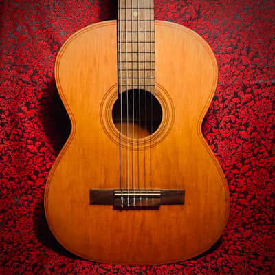 Vintage 1965 Giannini Model 6 image 1