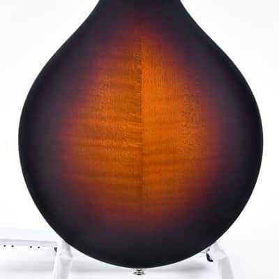 Eastman MD305E Sunburst Bild 8