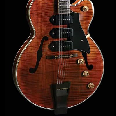Peerless Wizard Custom Archtop Hollow Body Jazz Electric Guitar Flame Maple Rosewood 3 P90 Pickups image 2