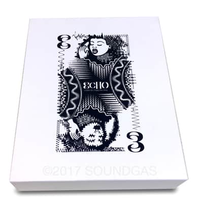 ECHO Clouds Hill Floppy Disc Delay - Limited Edition 1 of 20 image 8