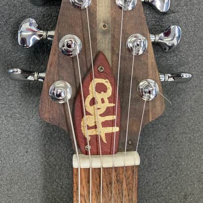 Pheo Rose with Taylor Solidbody Pickups and Switching - 2026 image 8