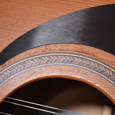 Seagull Coastline S12+ Cedar 12-String Acoustic Natural Finish w/HSC image 17