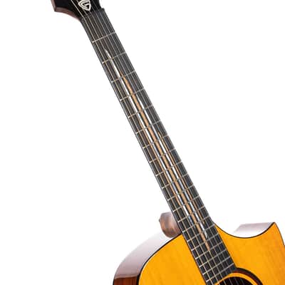 Cort LUXEII Luxe Series Frank Gambale Concert Body Mahogany Nek 6-String Acoustic-Electric Guitar w/Hard Case image 15