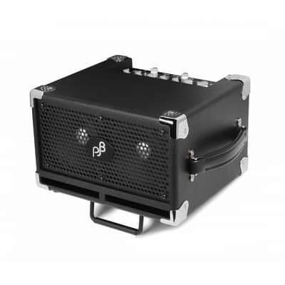 PJB Phil Jones Bass BG-120 Bass Cub Pro 2x5 120-Watt Bass Combo Amplifier Black image 5
