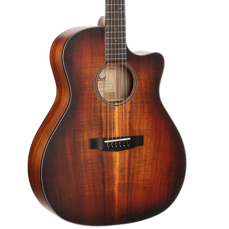 Cort COREGAOPLB Core Series Acoustic Electric Cutaway Guitar. Solid Blackwood image 1