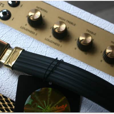 Marshall "Limited Edition SV20C Studio Vintage White Elephant Grain 20W All-Valve Plexi 1x1 image 3