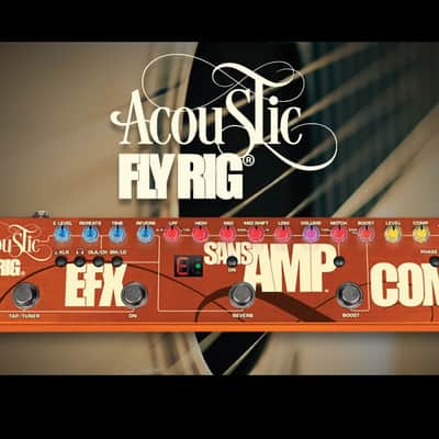 Tech 21 Acoustic Fly Rig image 2