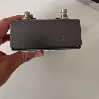 Strymon El Capistan V1 2010 - 2022 - Grey image 6
