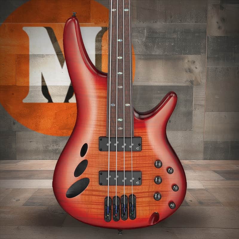 Ibanez SR Bass Workshop 4 String Electric Bass - Fretless - Brown Topaz Burst Low Gloss (SRD900FBTL) image 1