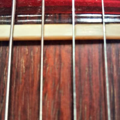 Fender Squier Rare markings 1982-1984 image 18