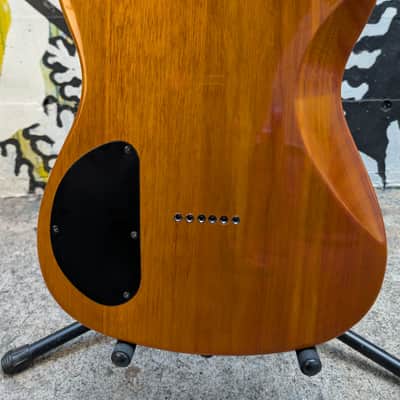 Fender Special Edition Custom Telecaster FMT HH Amber image 4