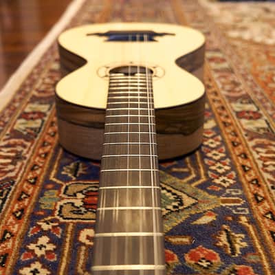 Artimúsica Traditional Luthier 10 String "Viola de Arame" Madeira image 14