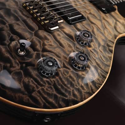 PRS RARE 2016 Private Stock DGT in Frostbite Fade w/Quilt Maple Top, Stained Quilt Maple Fretboard w/Ebony Binding, Flame Maple Neck, Swamp Ash Back with Matching Backplates, Black PRS Tremolo + Phase III Locking Tuners & MOP w/Paua Outline Bird Inlays image 22
