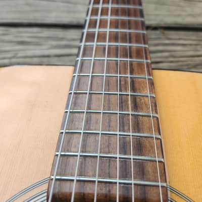 Recording King RD-06 Solid Top with mods. image 6