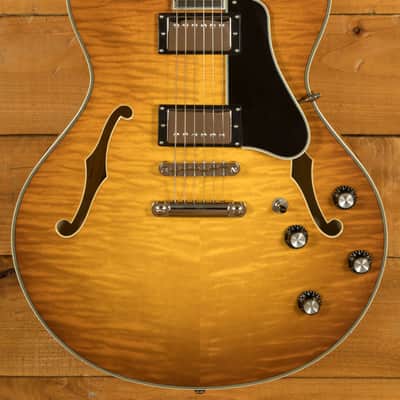 Eastman T486 - Goldburst image 3