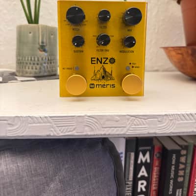 Meris Enzo image 6