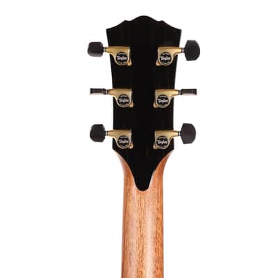 Taylor Gold Label Collection 914e Super Auditorium Acoustic-Electric Natural image 11